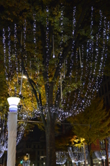 クリスマスですね