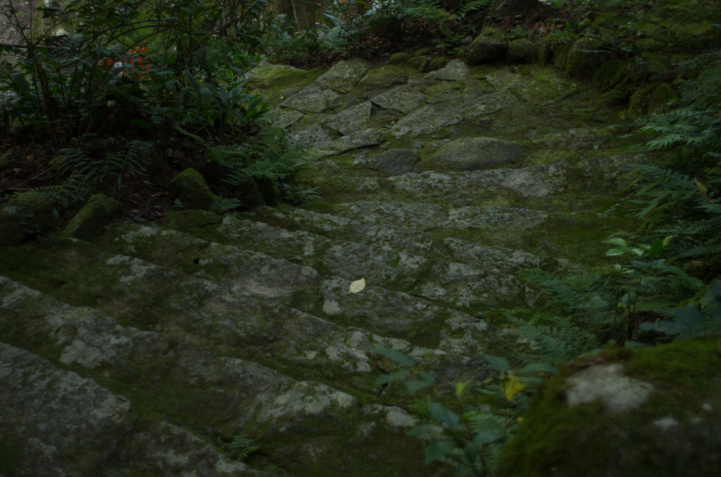 那智のお滝道