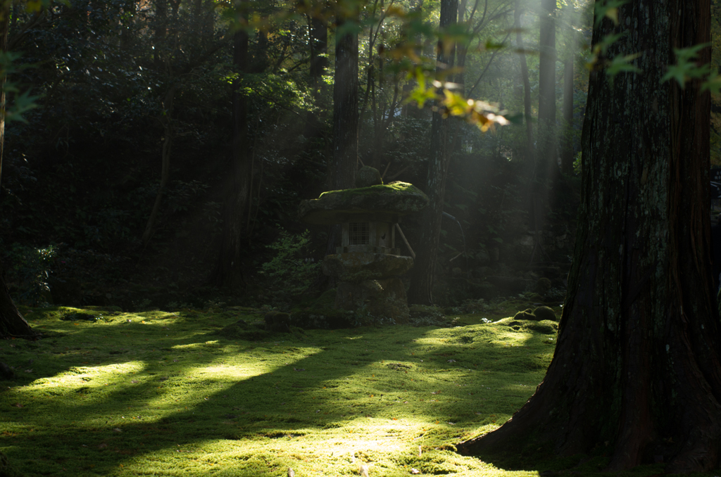 三千院の庭２