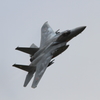 F-15 機動飛行Ⅵ
