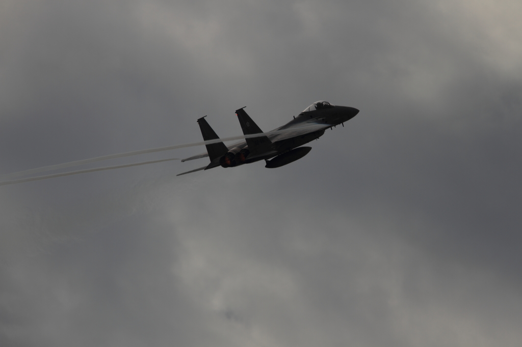 F-15 機動飛行Ⅲ