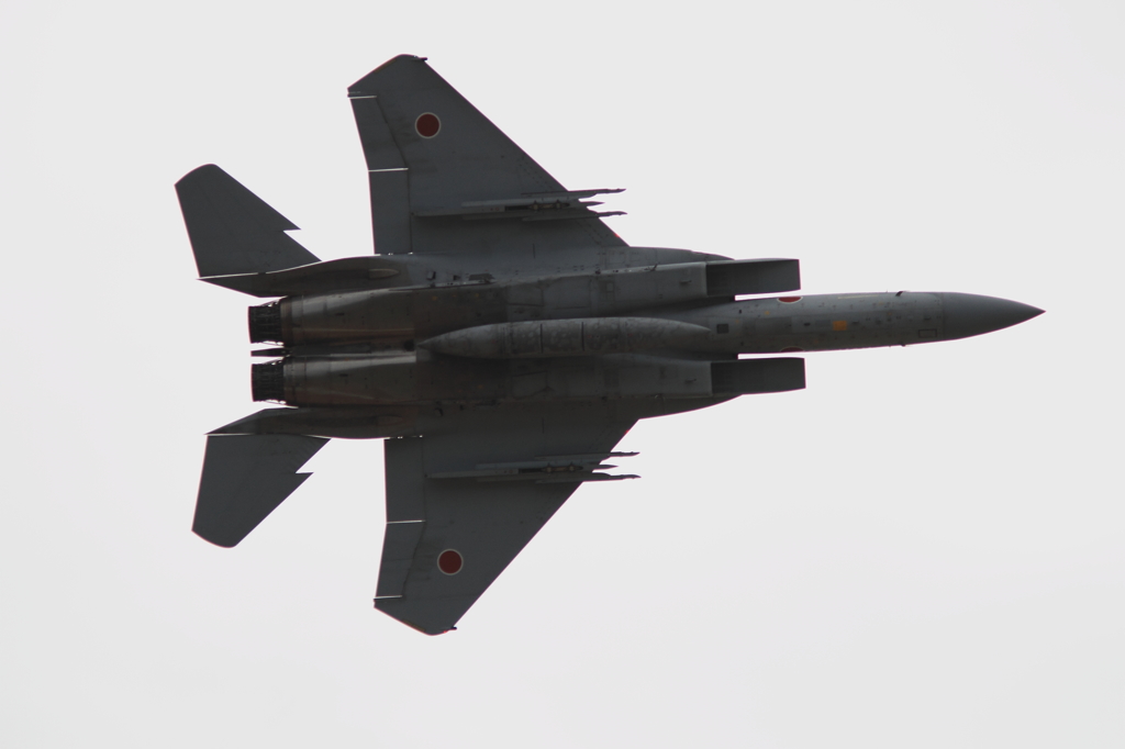 F-15 機動飛行Ⅰ