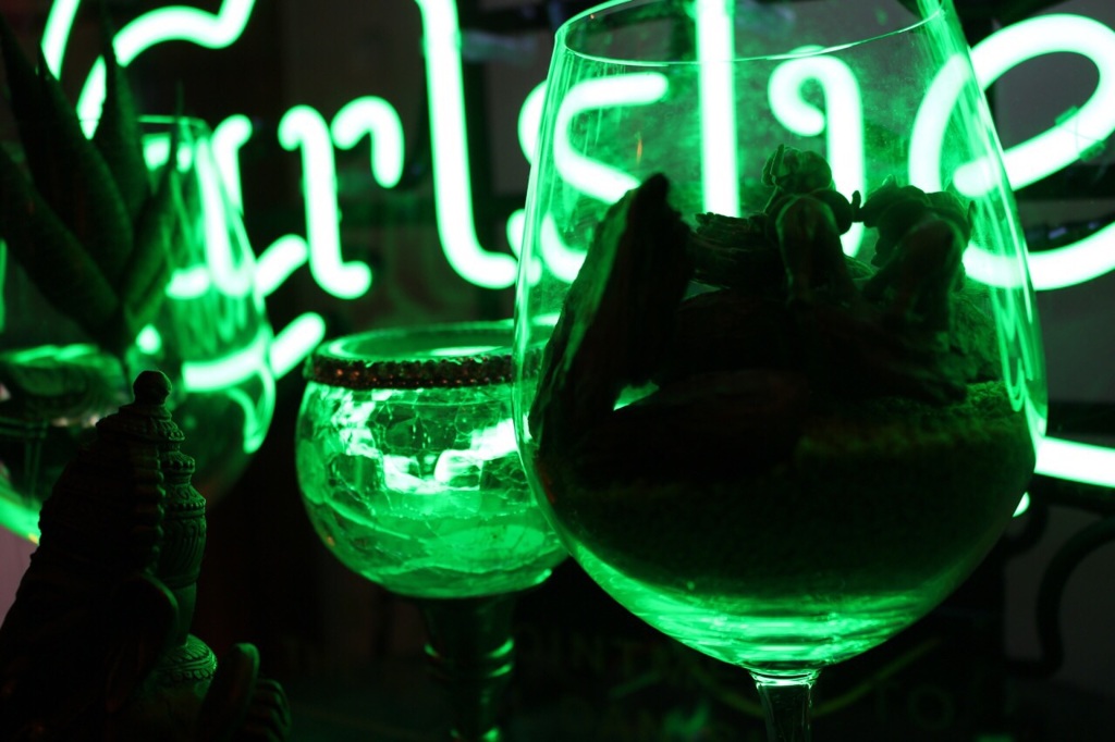 neon