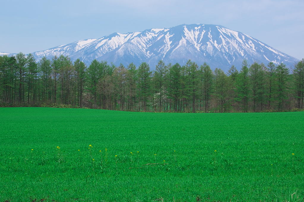 新緑と岩手山