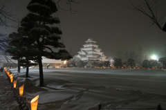 鶴ケ城冬景色