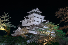 夜桜鶴ケ城２