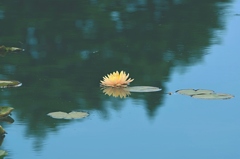 晴れ間