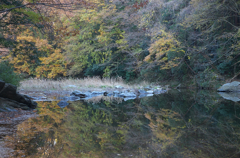 晩秋の嵐山渓谷