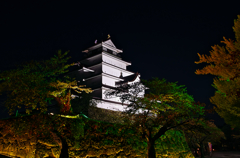 鶴ケ城