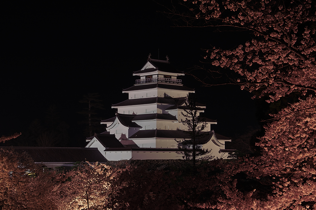 夜桜鶴ケ城