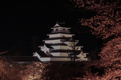 夜桜鶴ケ城