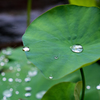 Dancing Water