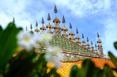 Wat Nong (II)