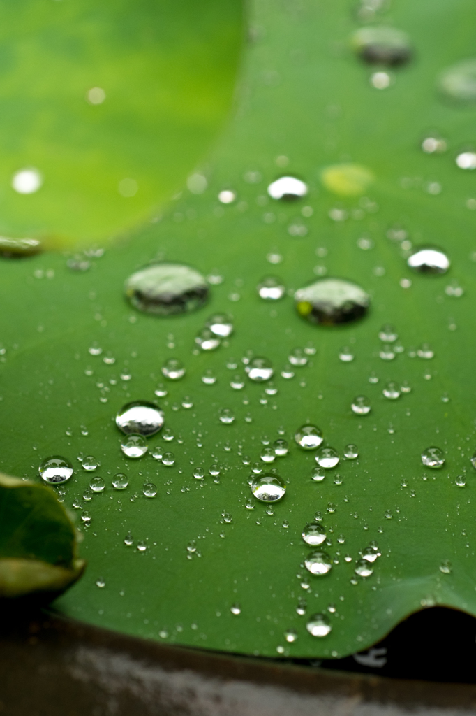 Pieces of Water