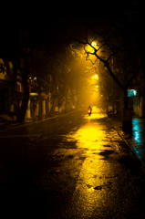 夜と霧と街路樹と(I)