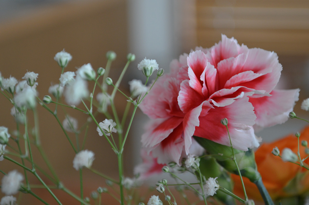 花1