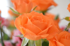 花2