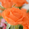 花2