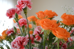 花6