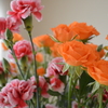 花6