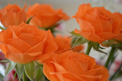 花4