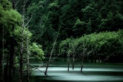 埋もれて生きる。