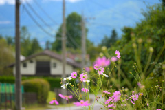 Z05_5163 (1)