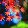 赤青緑