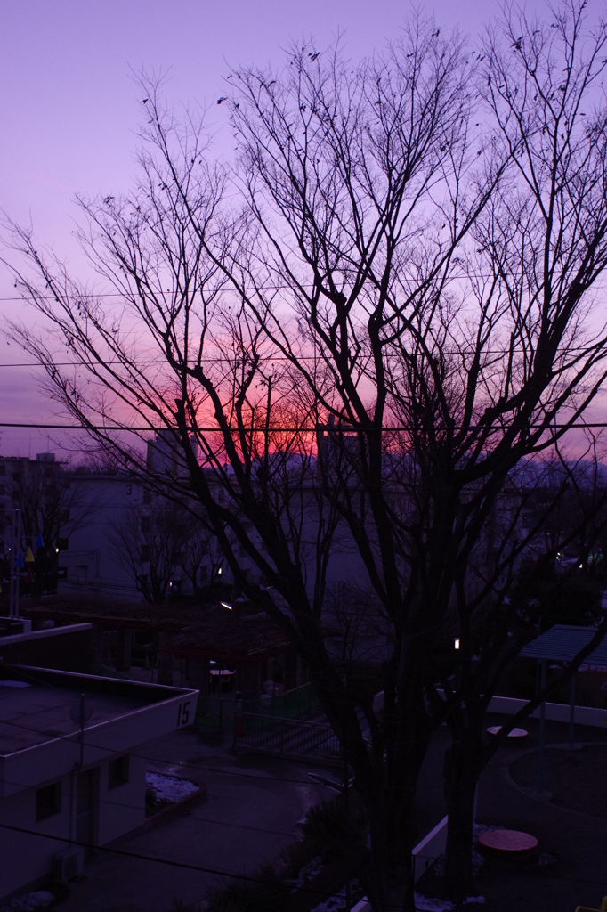 青葉台の夕焼け