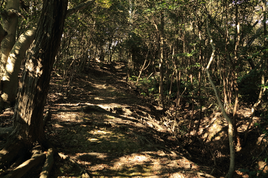 大阪50山俎石山・大福山3