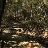 大阪50山俎石山・大福山3