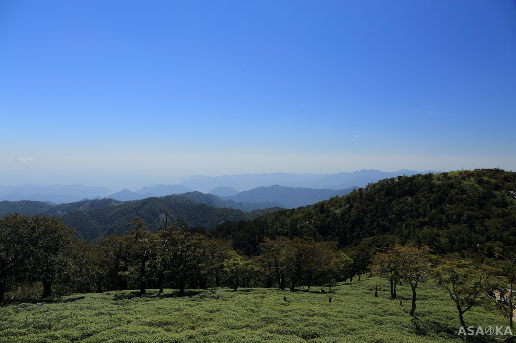 大台ヶ原11