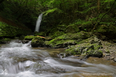 渓流  大滝0702-2