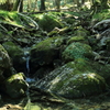 大台ヶ原14
