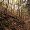 大阪50山和泉葛城山