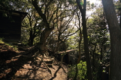 大阪50山　雨山