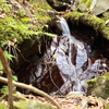 大阪50山和泉葛城山渓流