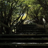 大台ヶ原10