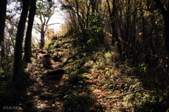 曽爾高原～倶留尊山 登山