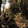 曽爾高原～倶留尊山 登山