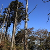 曽爾高原～倶留尊山 登山2