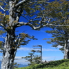 大台ヶ原12