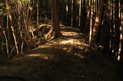 大阪50山泉南飯盛山1