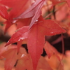 PB078923