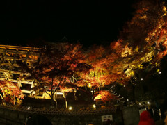 清水寺　紅葉ライトアップ4