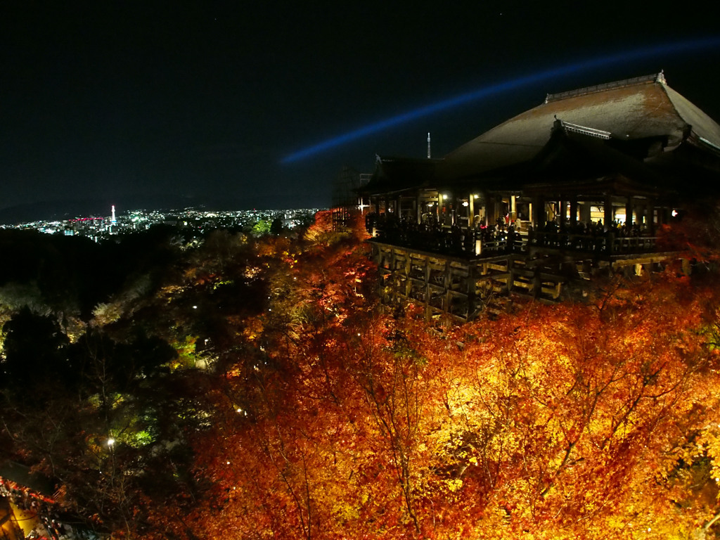 清水寺　紅葉ライトアップ2