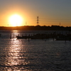 手賀沼の夕焼け