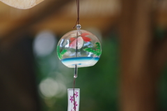 夏の思い出3