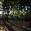 上野公園　お散歩日和10