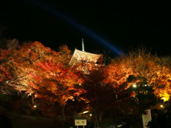 清水寺　紅葉ライトアップ5